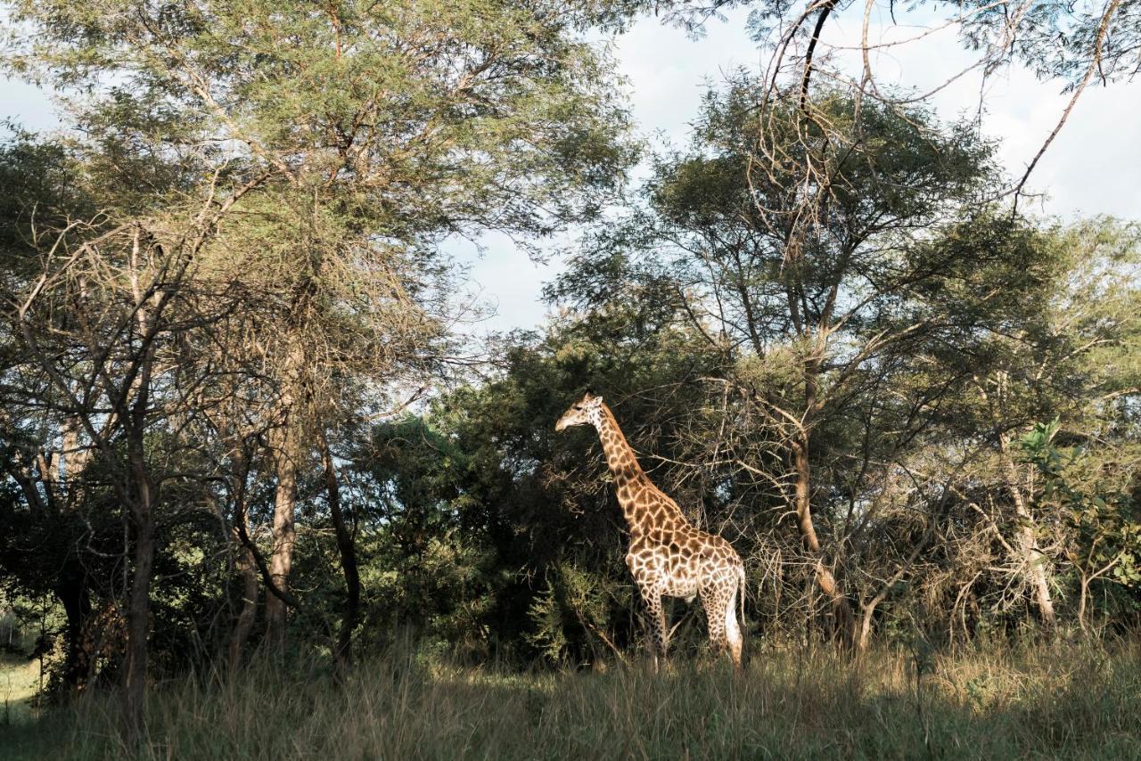 Tzaneen Country Lodge Luaran gambar